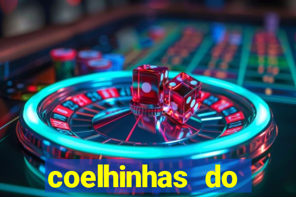 coelhinhas do brasil acompanhantes