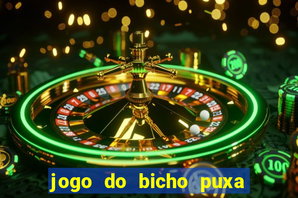 jogo do bicho puxa de dona maria