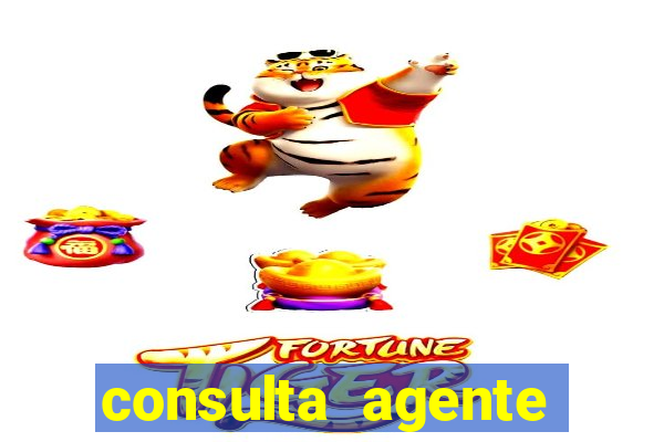 consulta agente autuador sp